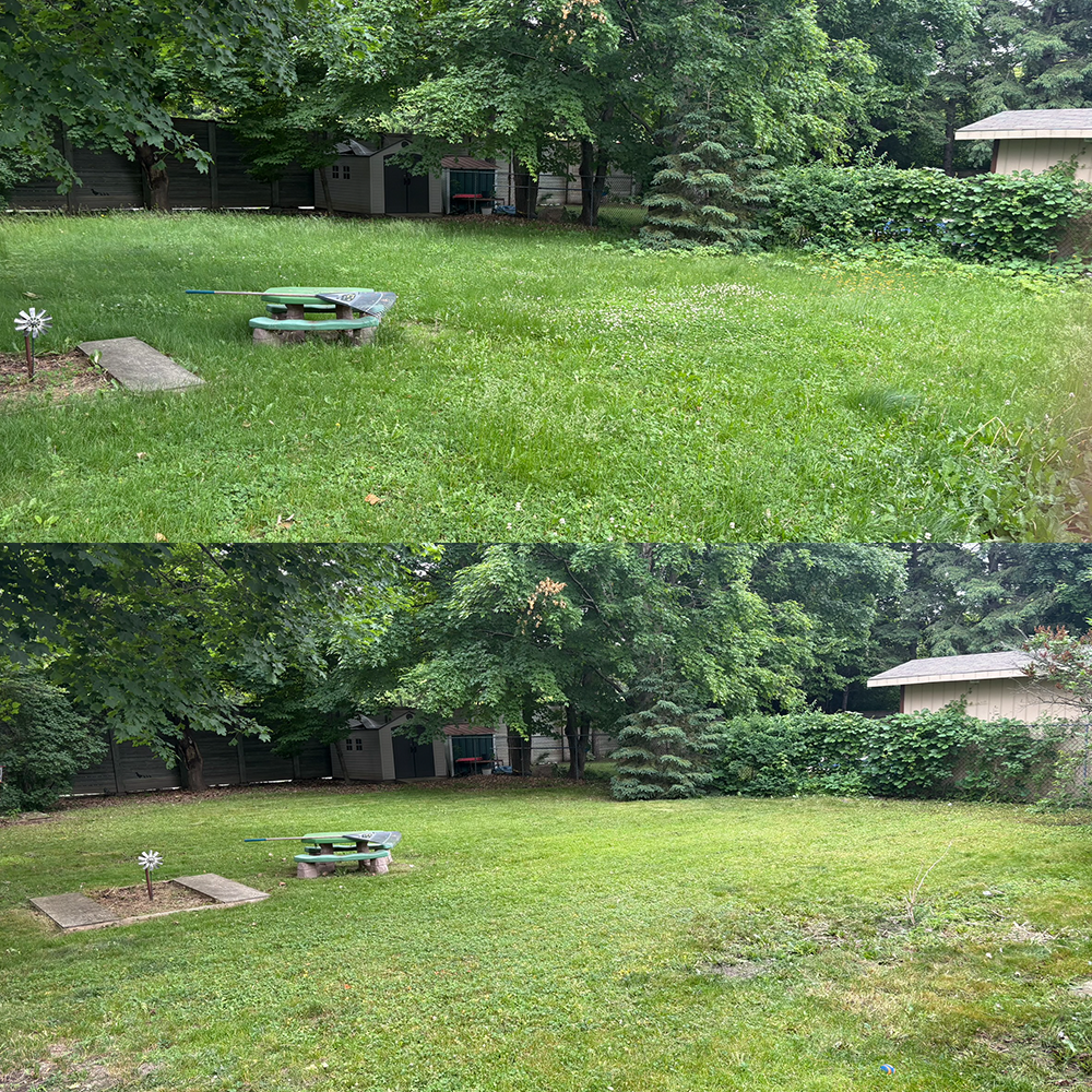 A backyard before and after lawn care. The top shows a patchy, overgrown lawn with a small flower bed, a garden windmill, and a golf putter. The bottom shows a neatly mowed, even lawn with a small patch of bare soil, trees, shrubs, and a shed in the background.