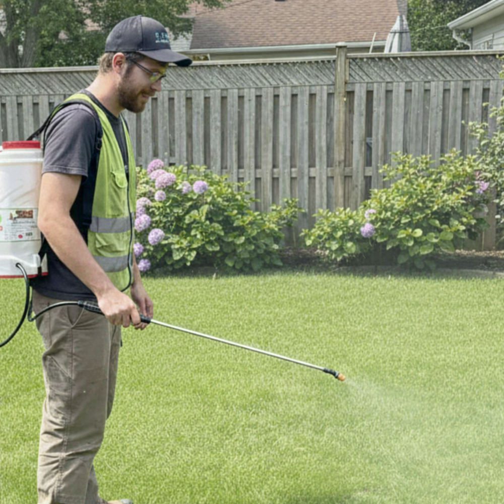 Scoop Dog pet odour removal service treating a backyard in Ottawa