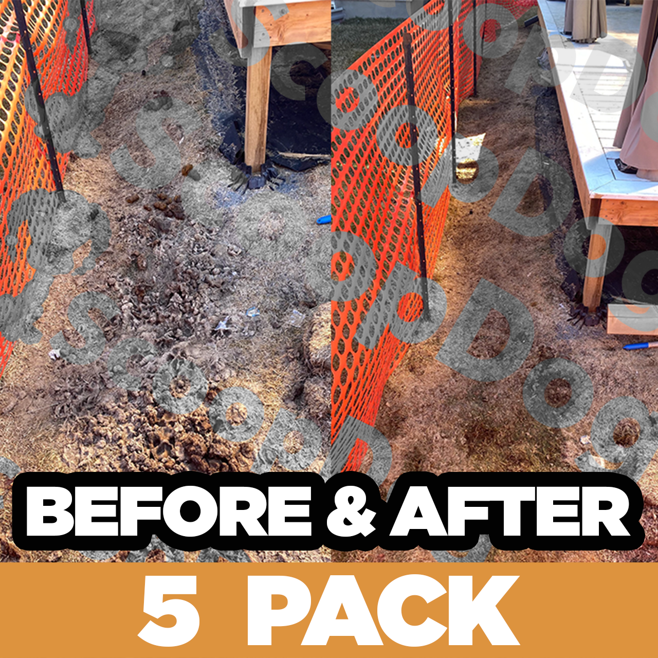 5 Before/After Pictures