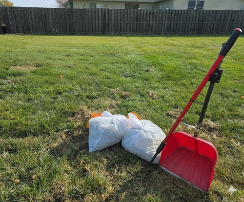 Dog waste removal in an Ottawa backyard