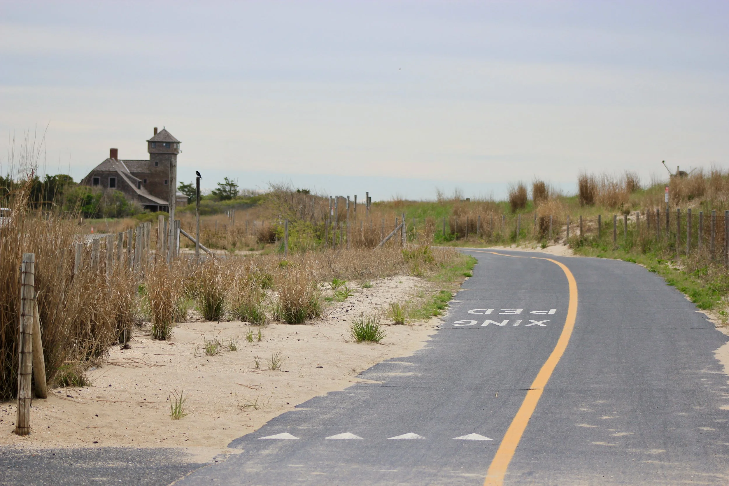 Picture of the bike path at Sandy hook.
