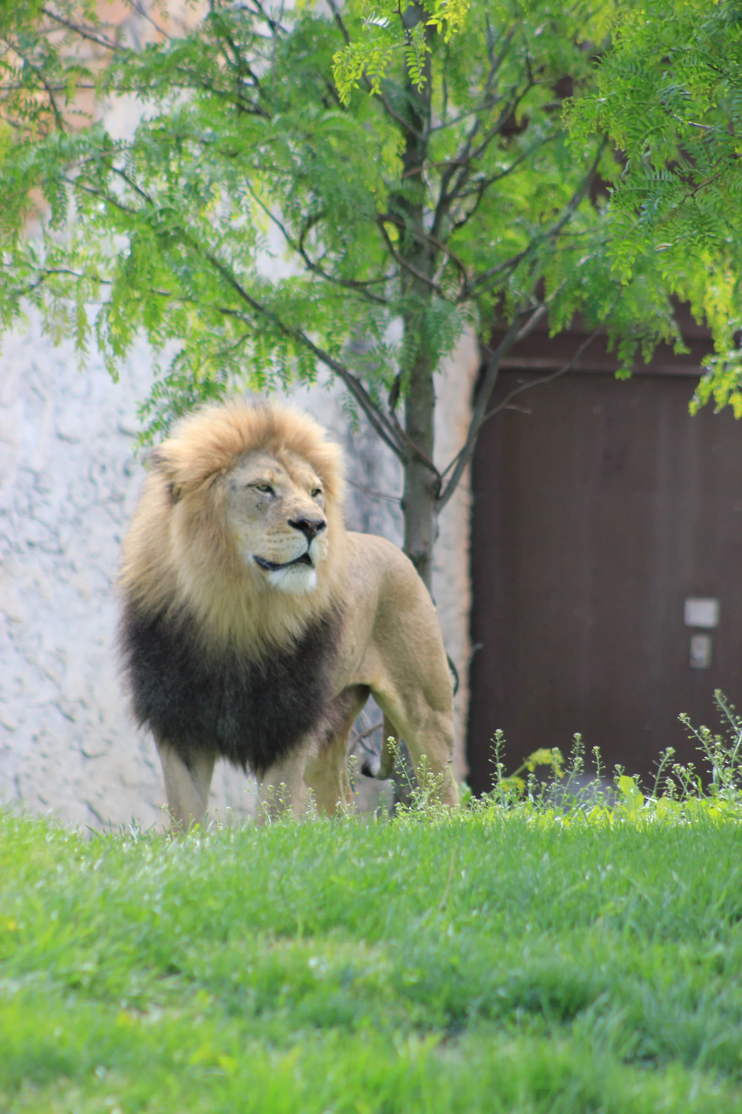 Next Stop: Columbus Zoo