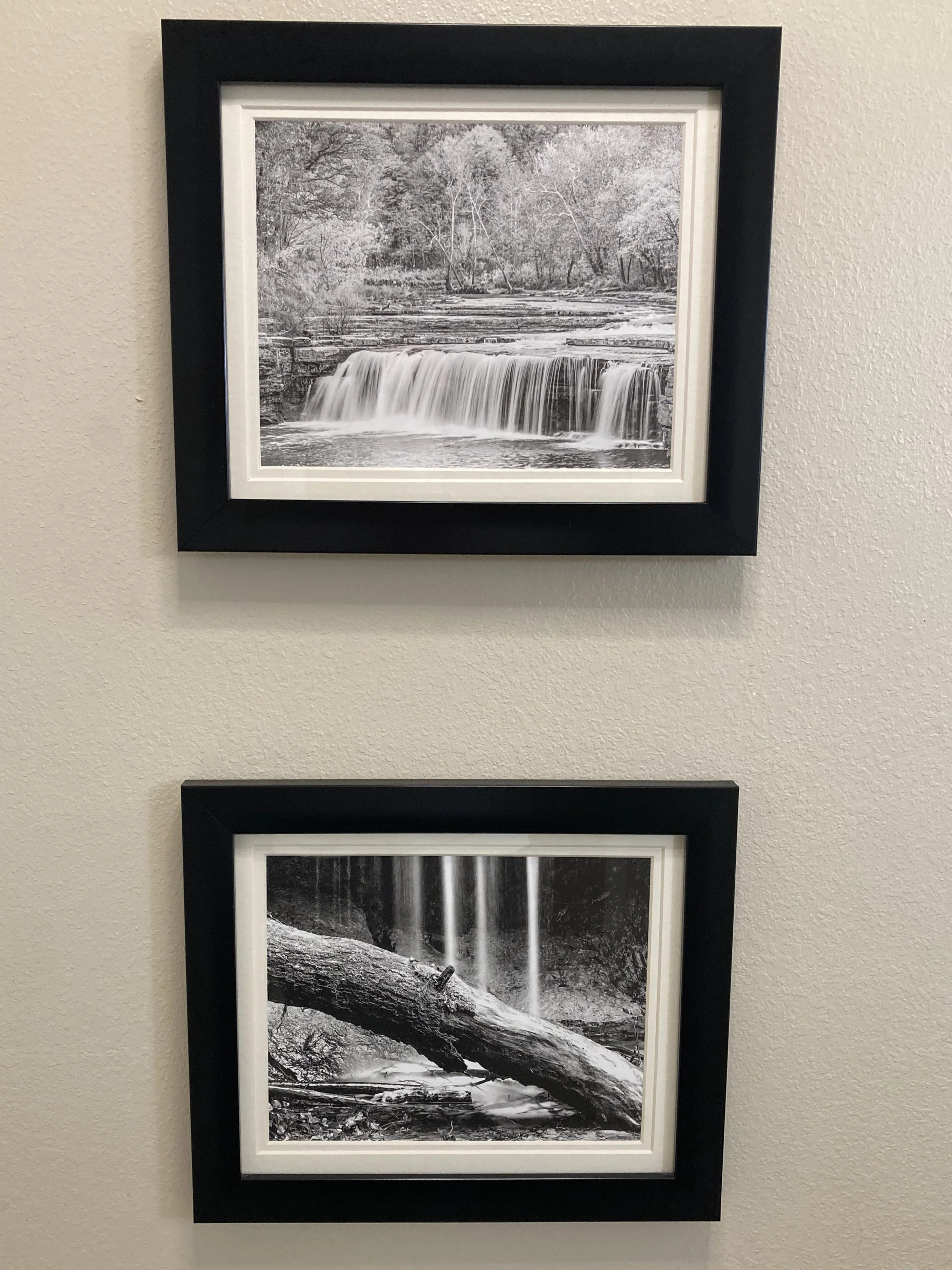 Artwork that is hanging over the toilet.  It is a stream and a log representing pee and poo