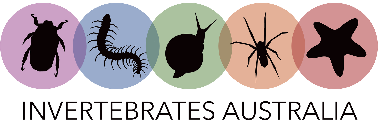 Silhouettes of five different invertebrate animals in colored circles. The animals include a tick, centipede, snail, spider, and starfish. The text reads "Invertebrates Australia".