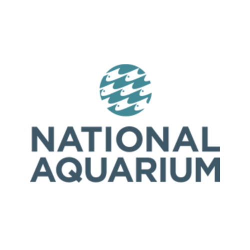 IMMOTION - PARTNER LOGO - NATIONAL AQUARIUM