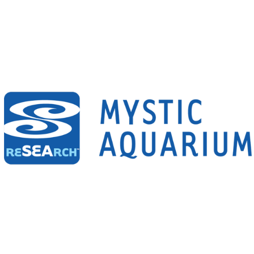 IMMOTION - PARTNER LOGO - MYSTIC AQUARIUM