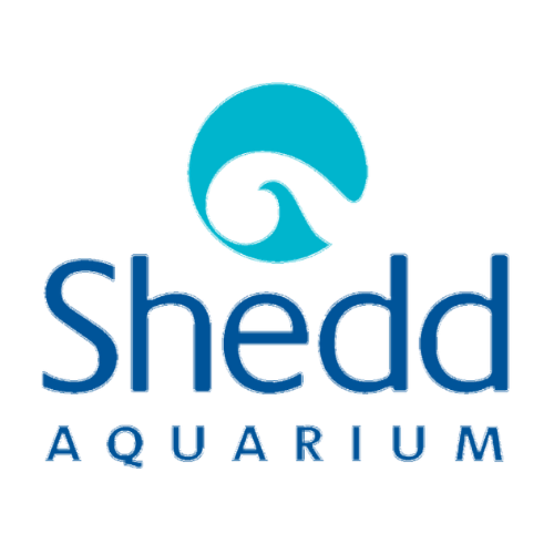 IMMOTION - PARTNER LOGO - SHEDD AQUARIUM