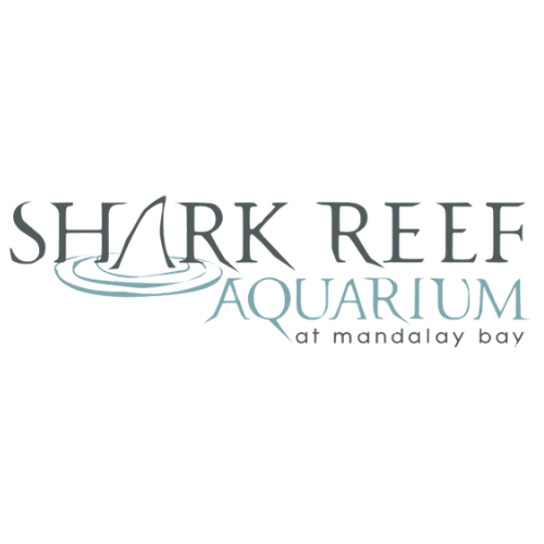 IMMOTION - PARTNER LOGO - MANDALAY BAY