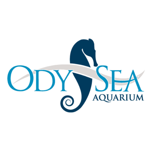 IMMOTION - PARTNER LOGO - ODYSEA AQUARIUM