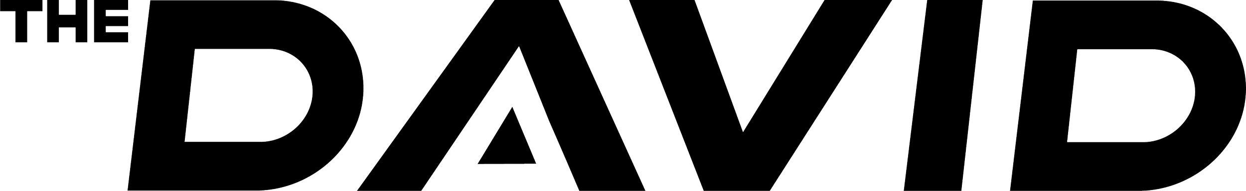 THE DAVID logo
