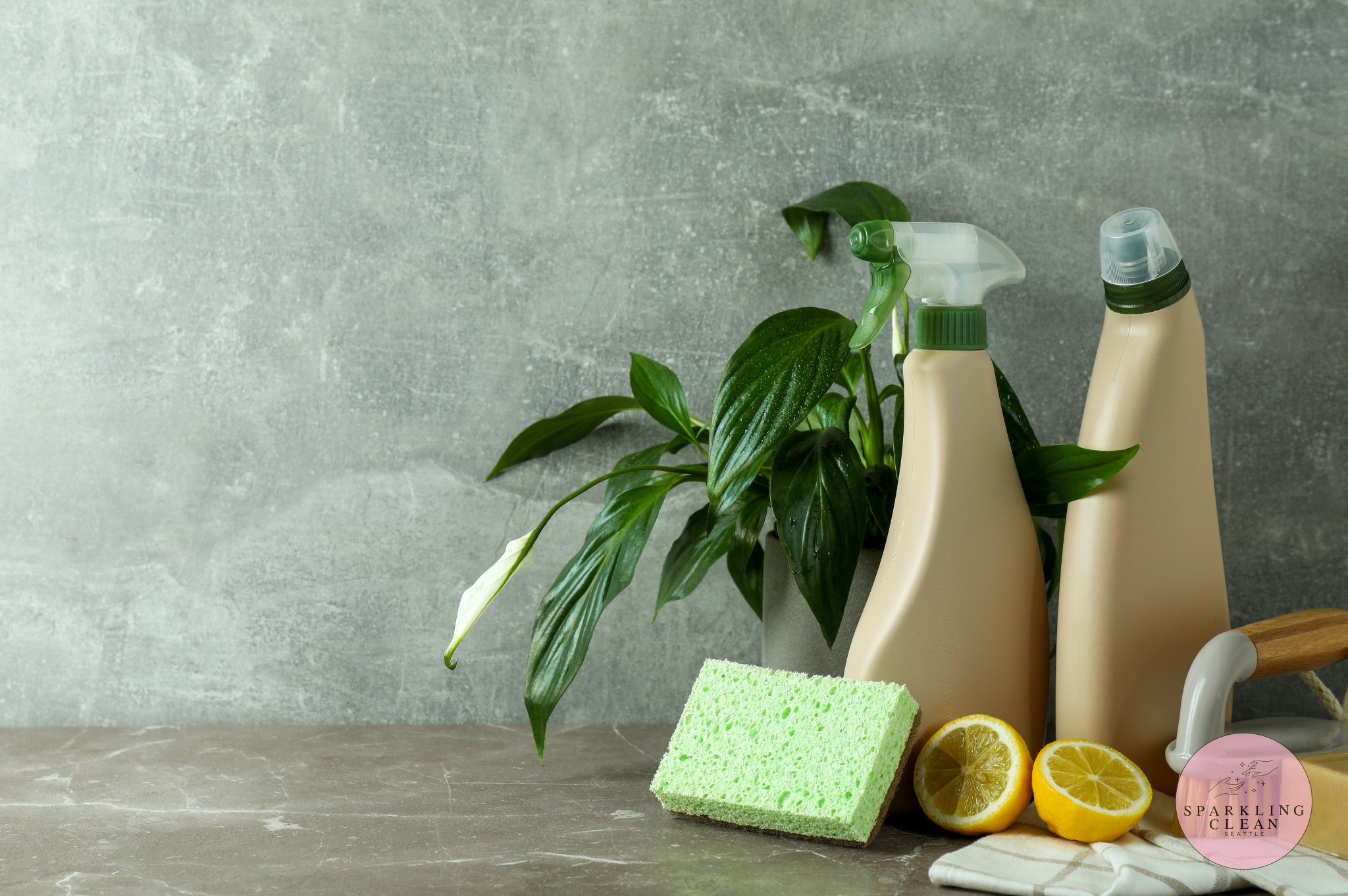 Eco-Friendly Cleaning Service in Seattle: The Complete Guide to a Healthier, Greener Home