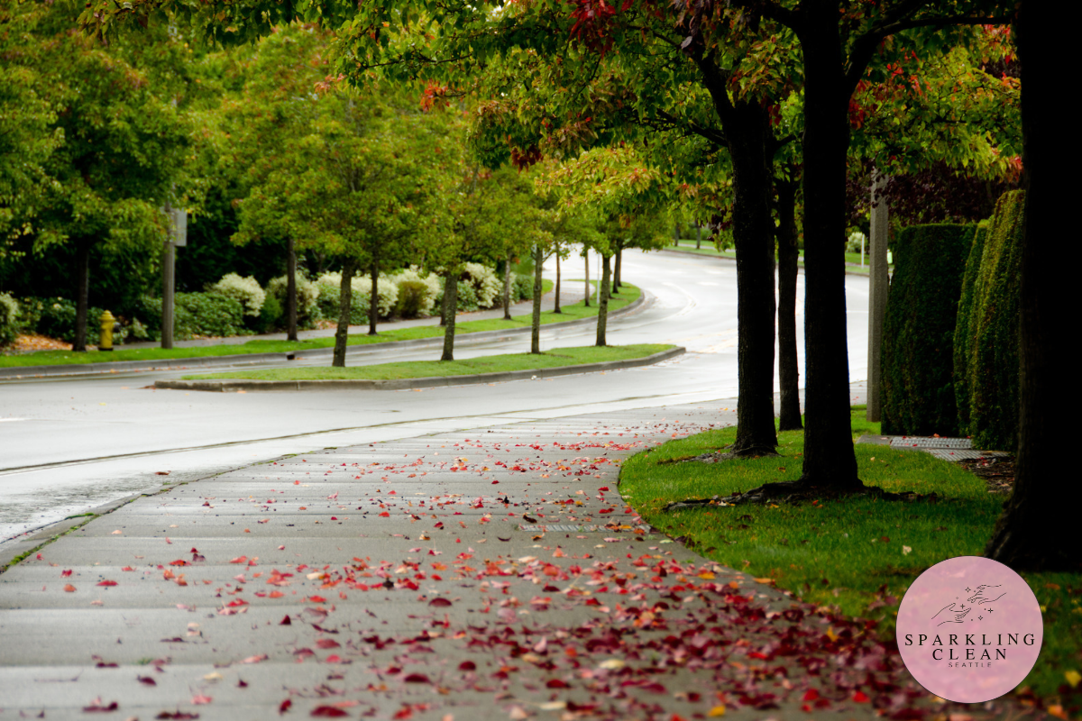 Recurring House Cleaning in Redmond WA