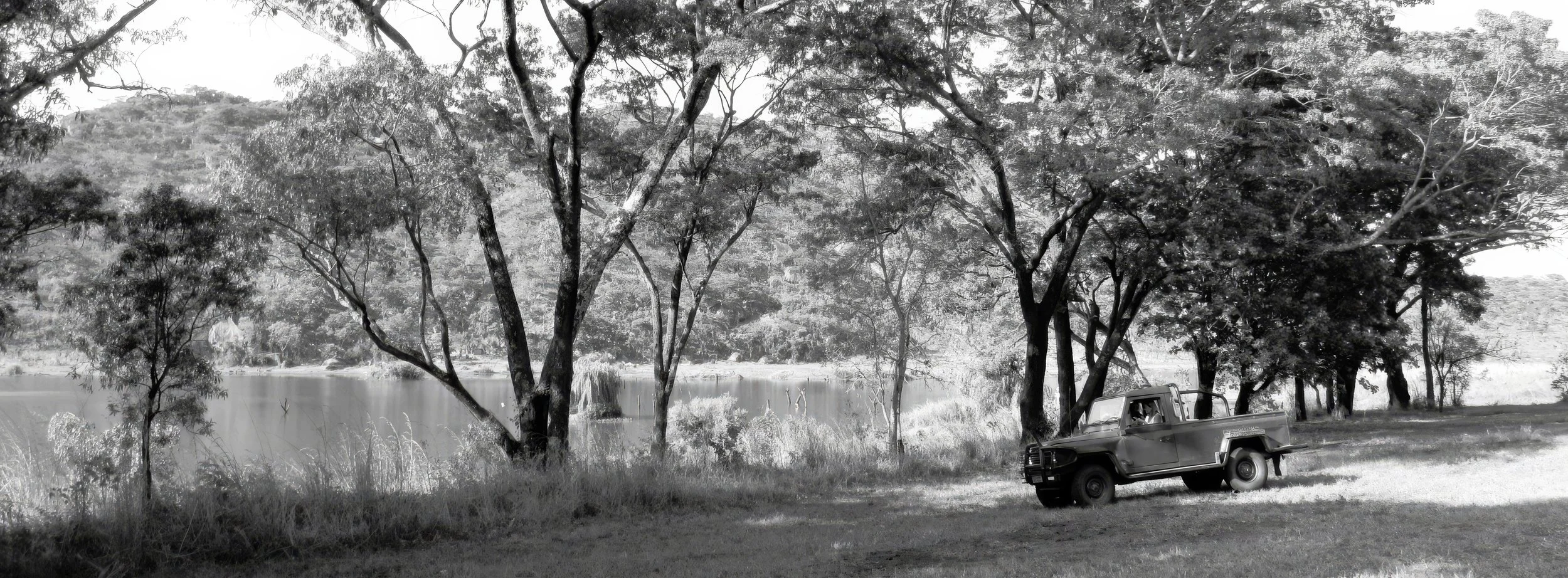 IMG_0039b 2--2.8x.jpeg