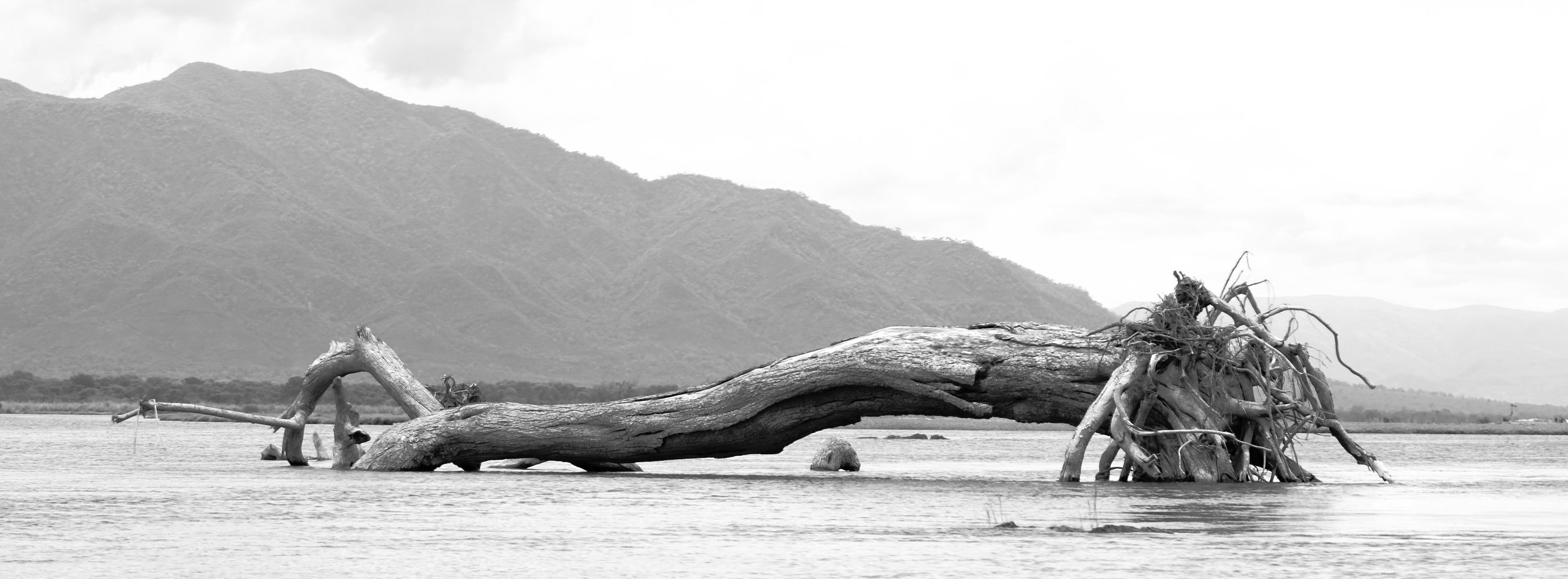 DSC08944b--2x-sharpen copyb.jpg