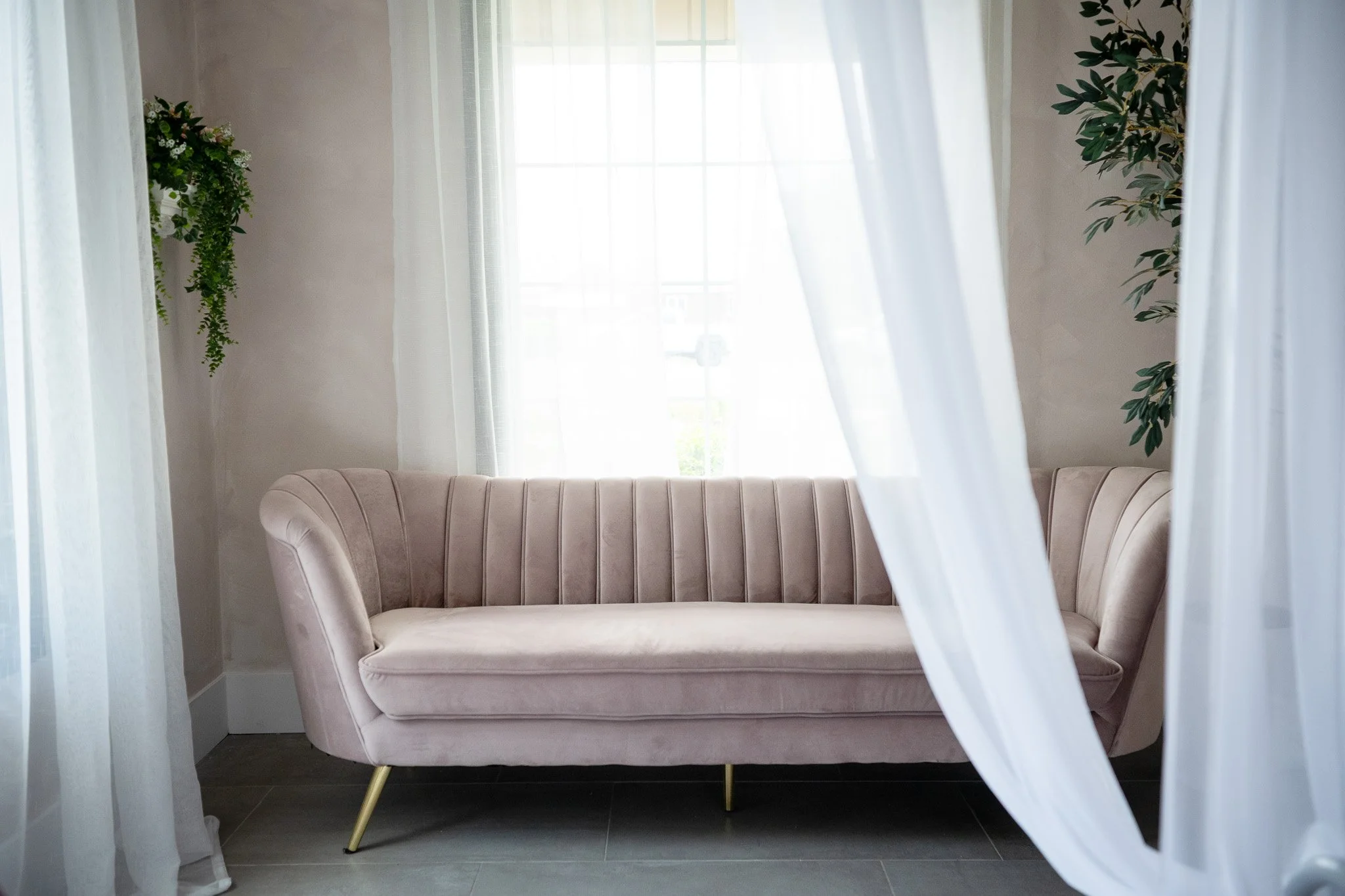 Light pink velvet sofa with gold legs in front of a window with sheer white curtains, flanked by green plants.