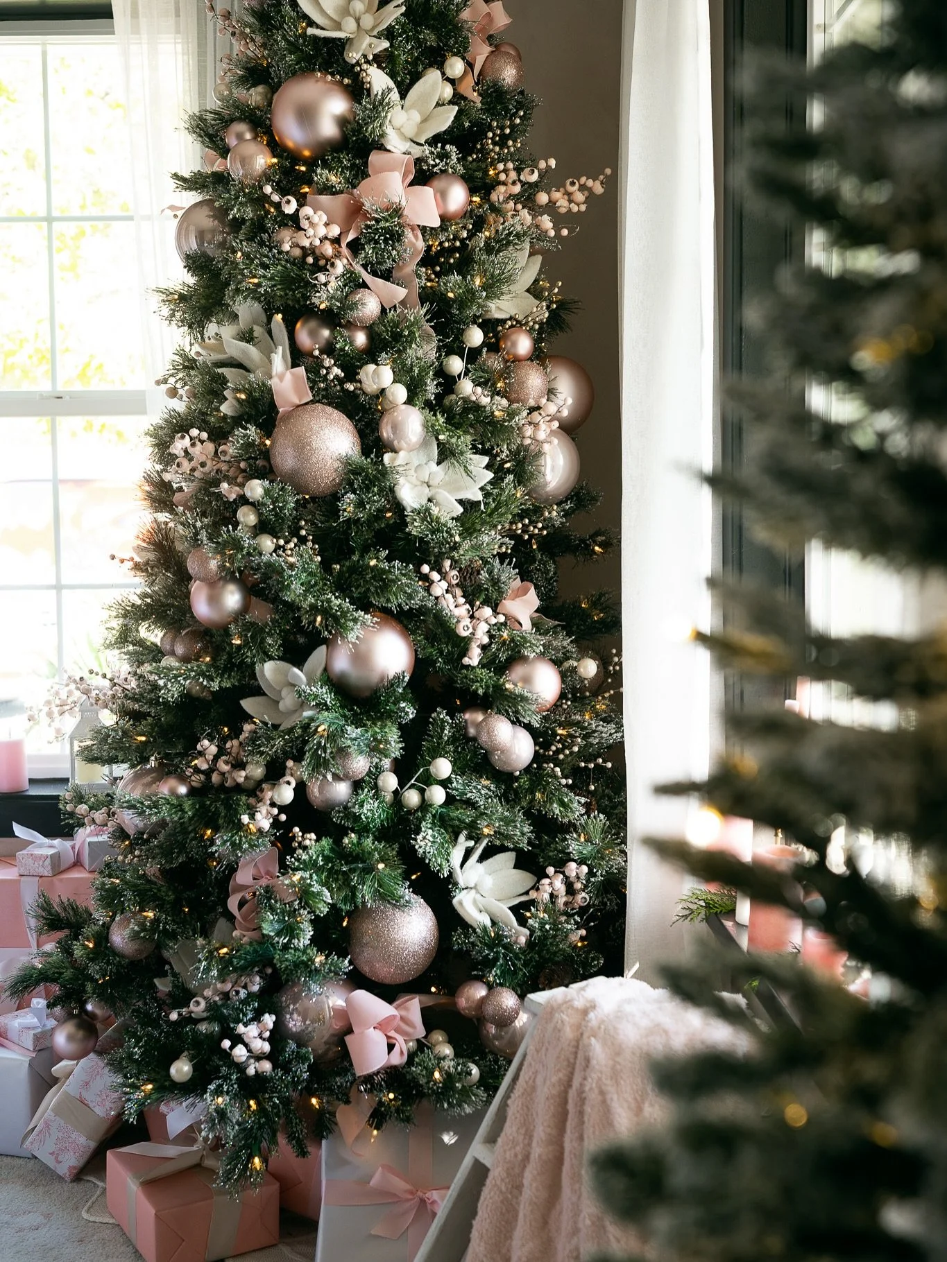 Ros&eacute; Winter in The Solarium studio! Open now for booking all through the season 💕 🎄🎅