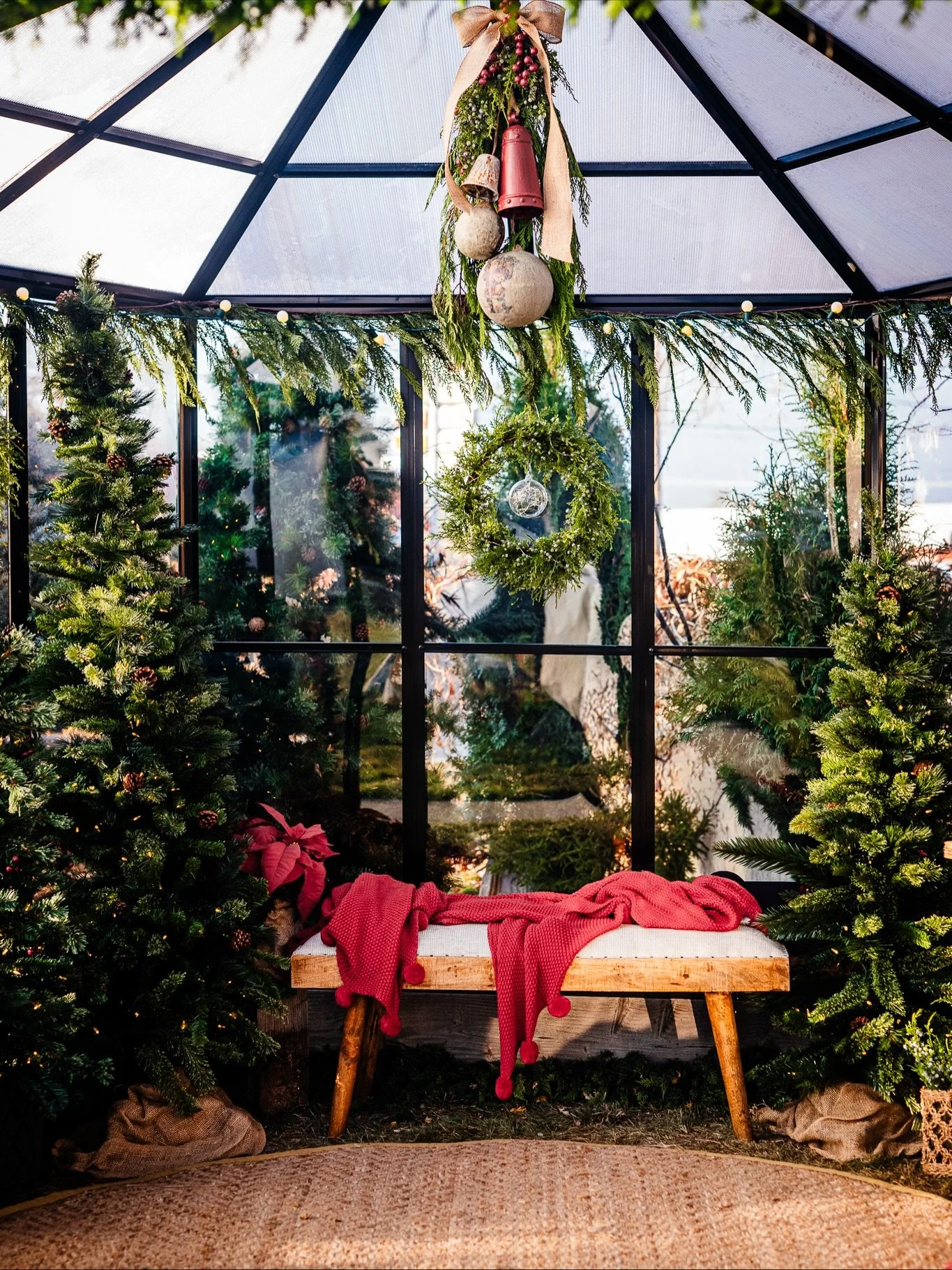 Morning in The Garden! This is about 8 am, really cute light sparkling on all the fun details 🧑&zwj;🎄