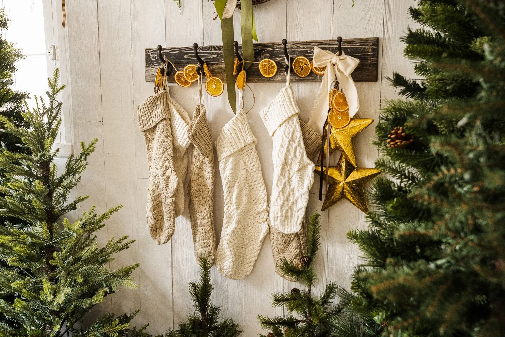 Christmas stockings hung on a rustic wall with dried orange slices and garland, surrounded by Christmas trees.