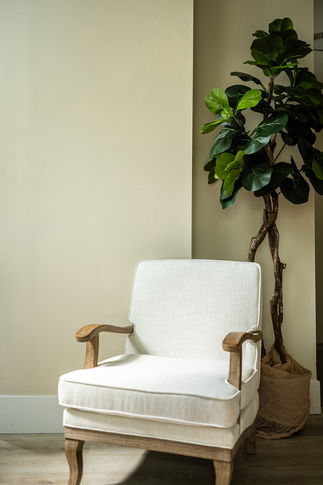 A cozy corner with a beige armchair with wooden arms, positioned next to a tall potted ficus plant with dark green leaves against a light beige wall.