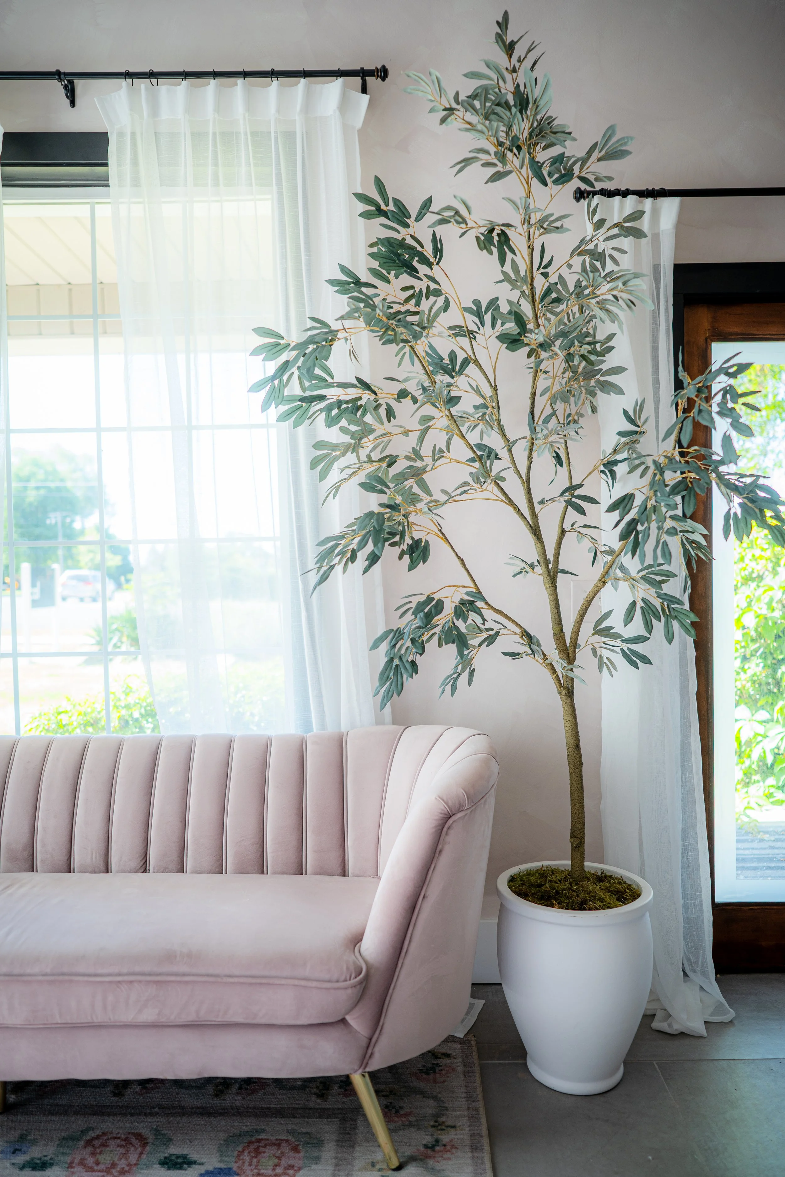 A pink velvet sofa next to a tall potted plant with green leaves in a white planter, in front of a window with sheer white curtains, in a well-lit room.