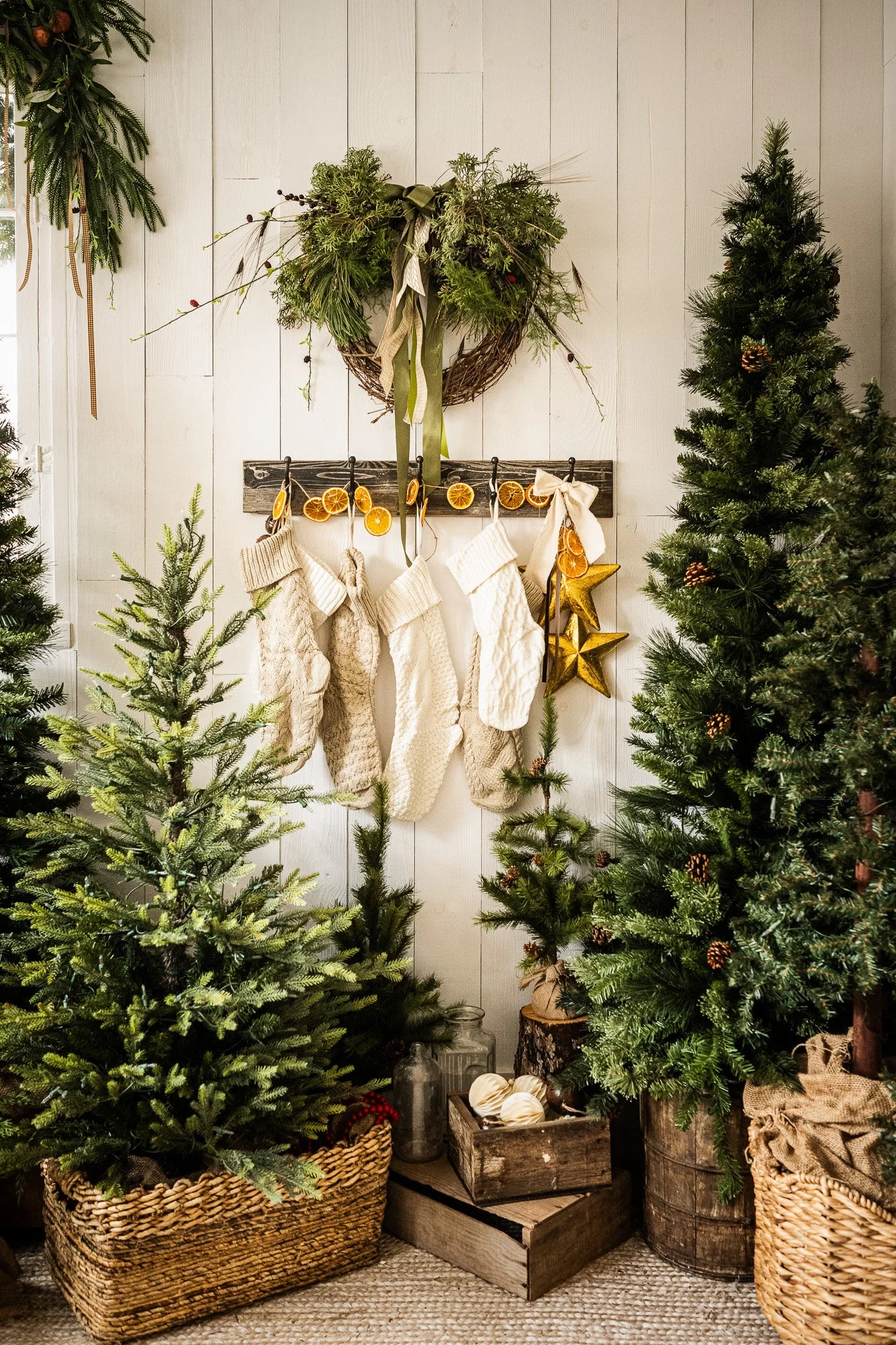 A cozy holiday scene with evergreen trees, stockings hanging on a wooden wall, and festive decorations.