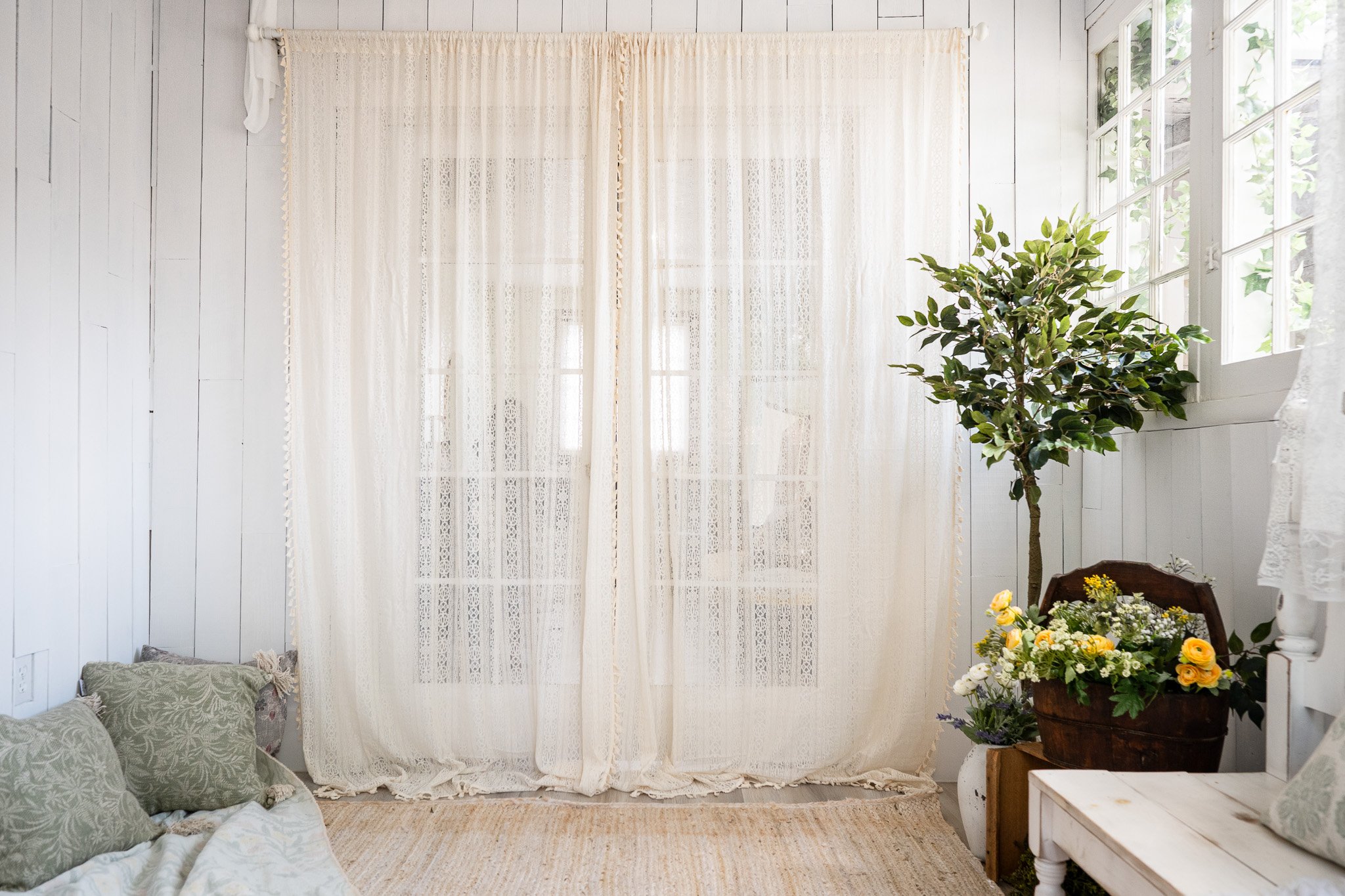 Sunlit corner with white lace curtains, potted indoor tree, and floral arrangements in a rustic white room.