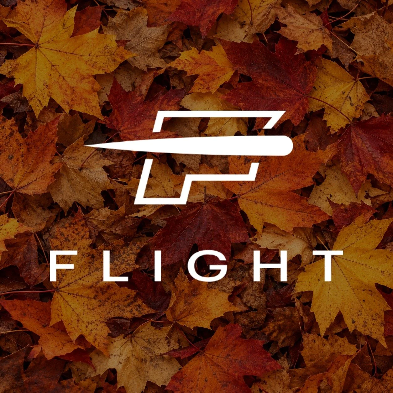 Fall is officially in the air. 🍂

Time to grab your favorite Flight hoodie, layer up, and take on the cooler days ahead.