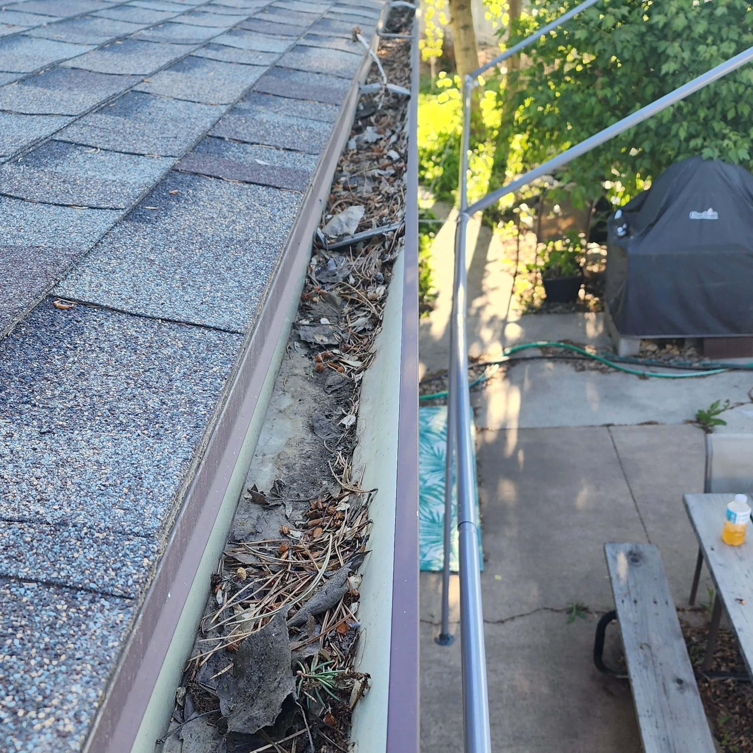 Roof gutter filled with debris and leaves next to shingles