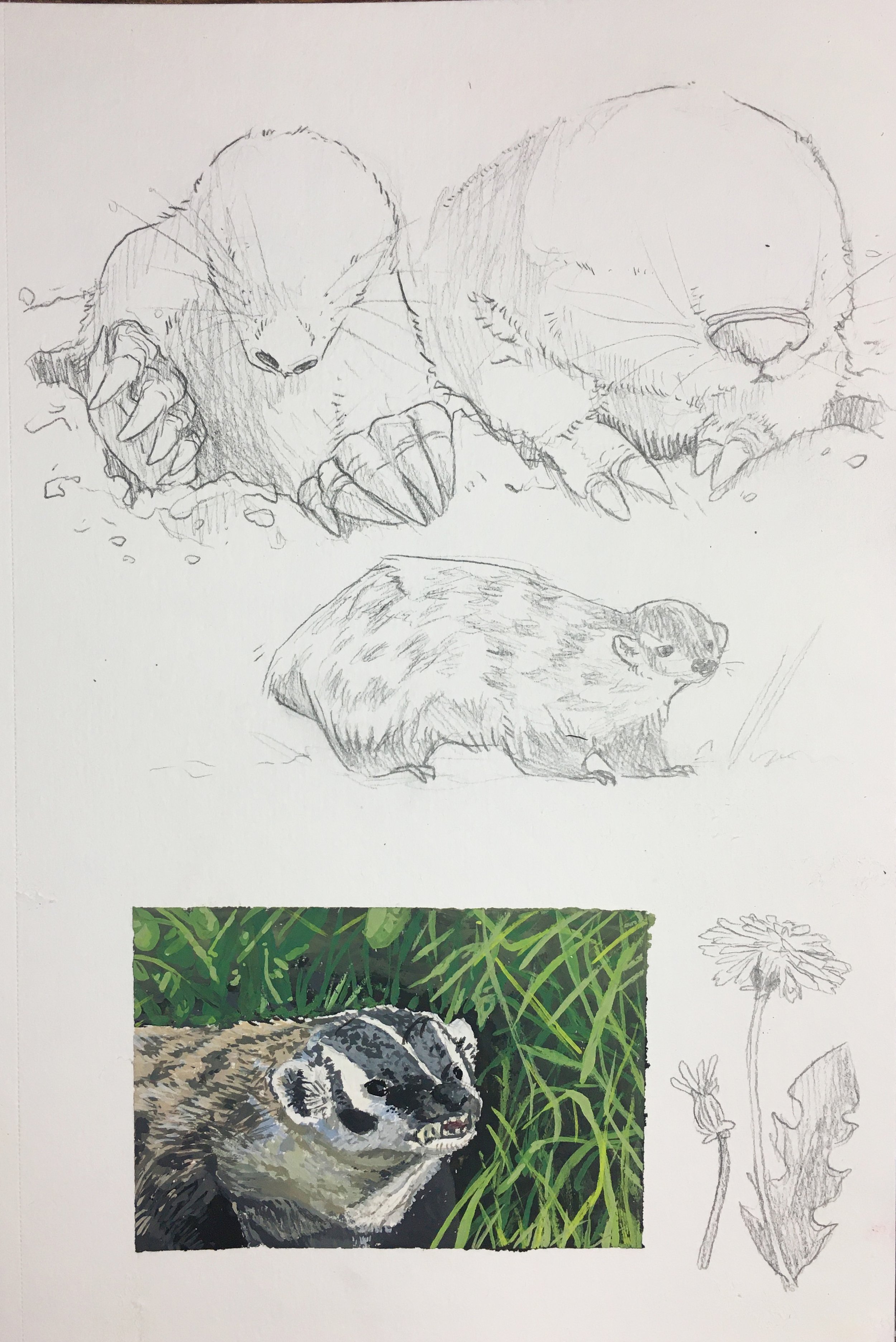 alicelanglois_sketches_9.jpg