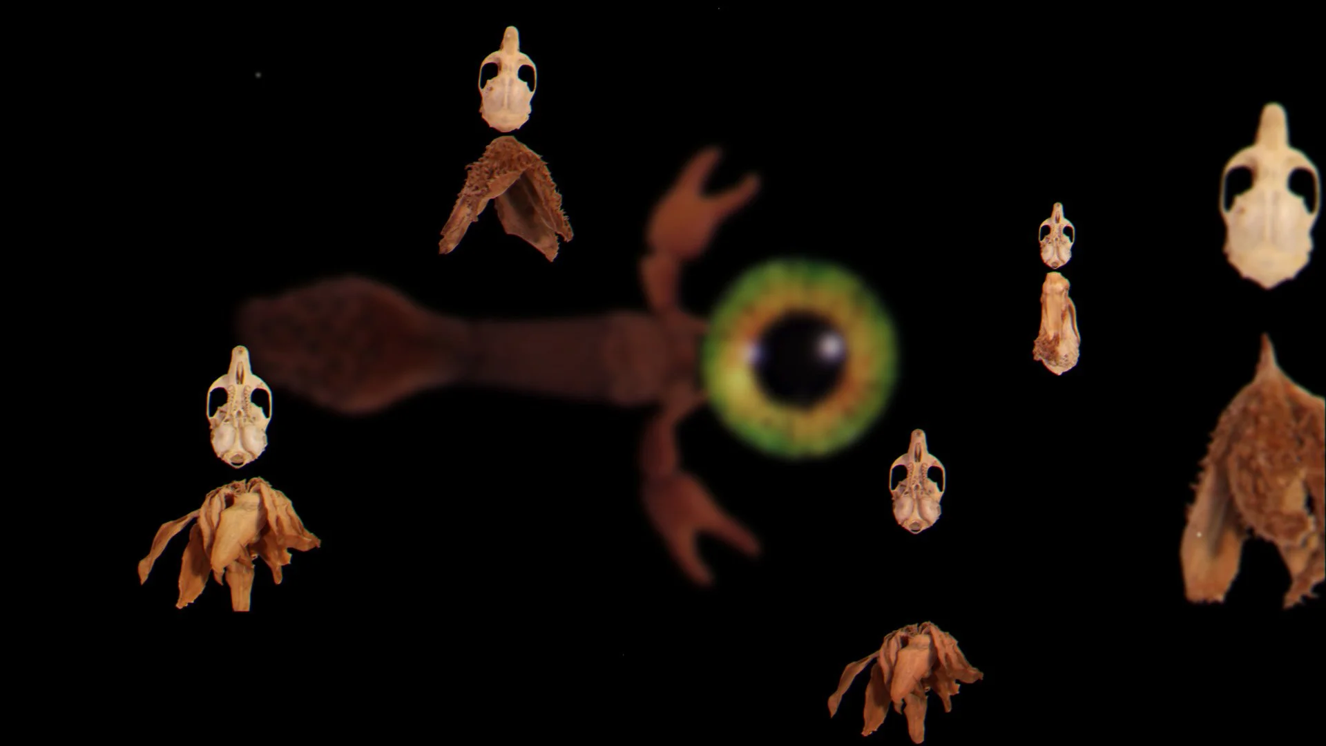 bestiary unknown