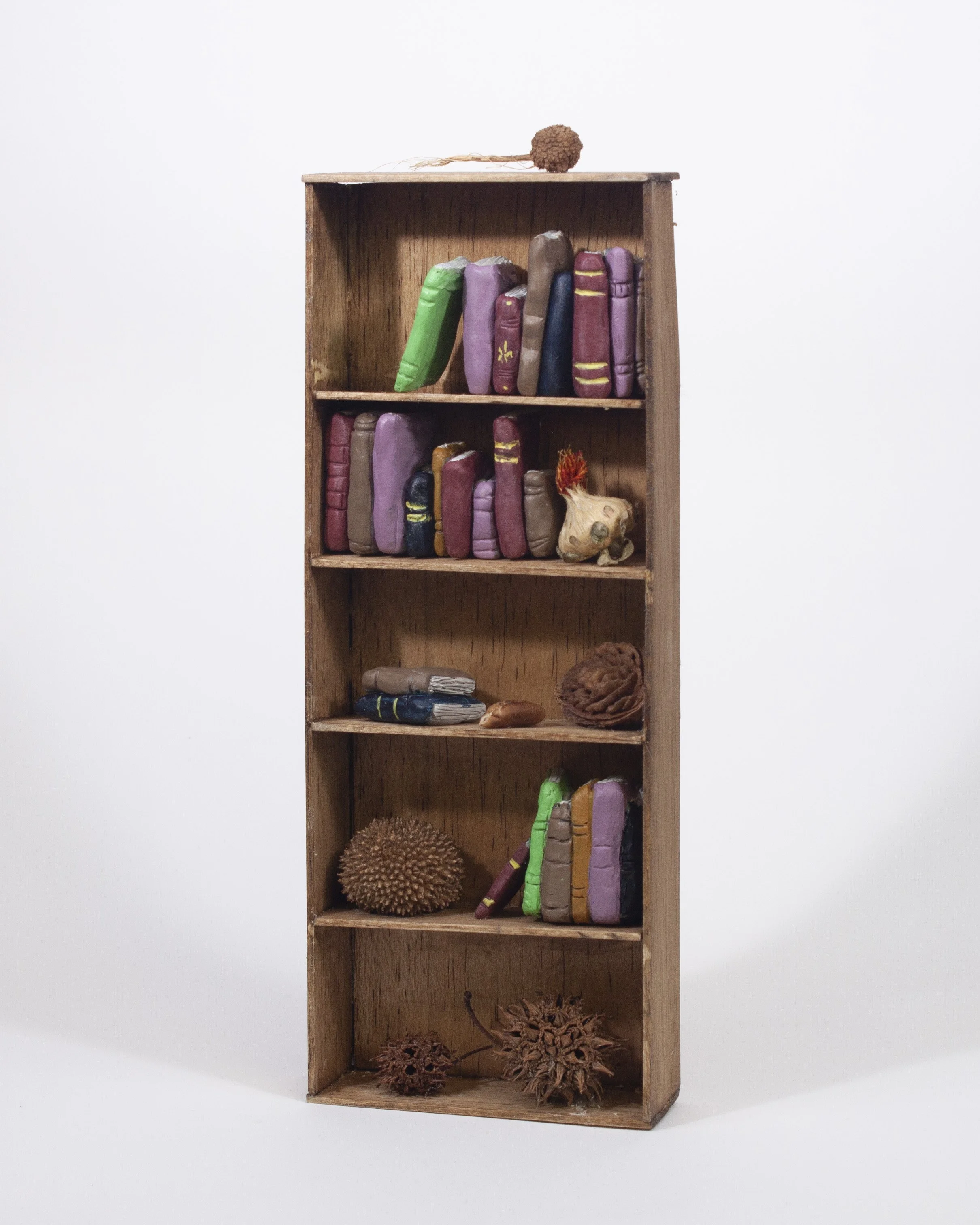 bookcase.jpg