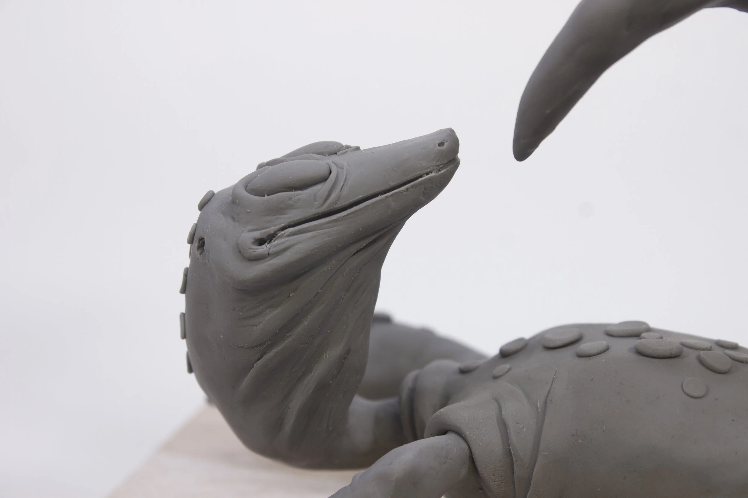 komododetail.jpg