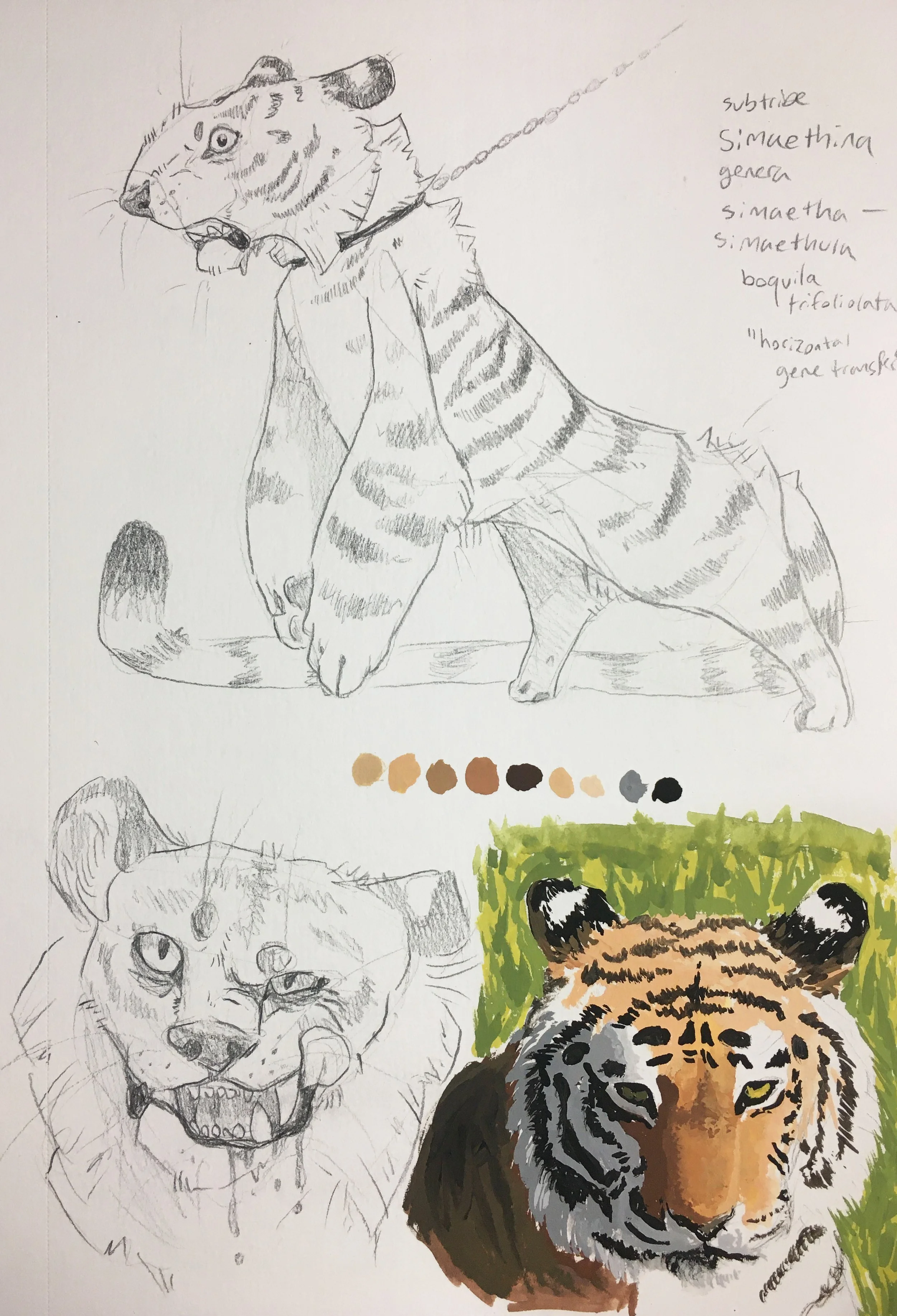 alicelanglois_sketches_4.jpg