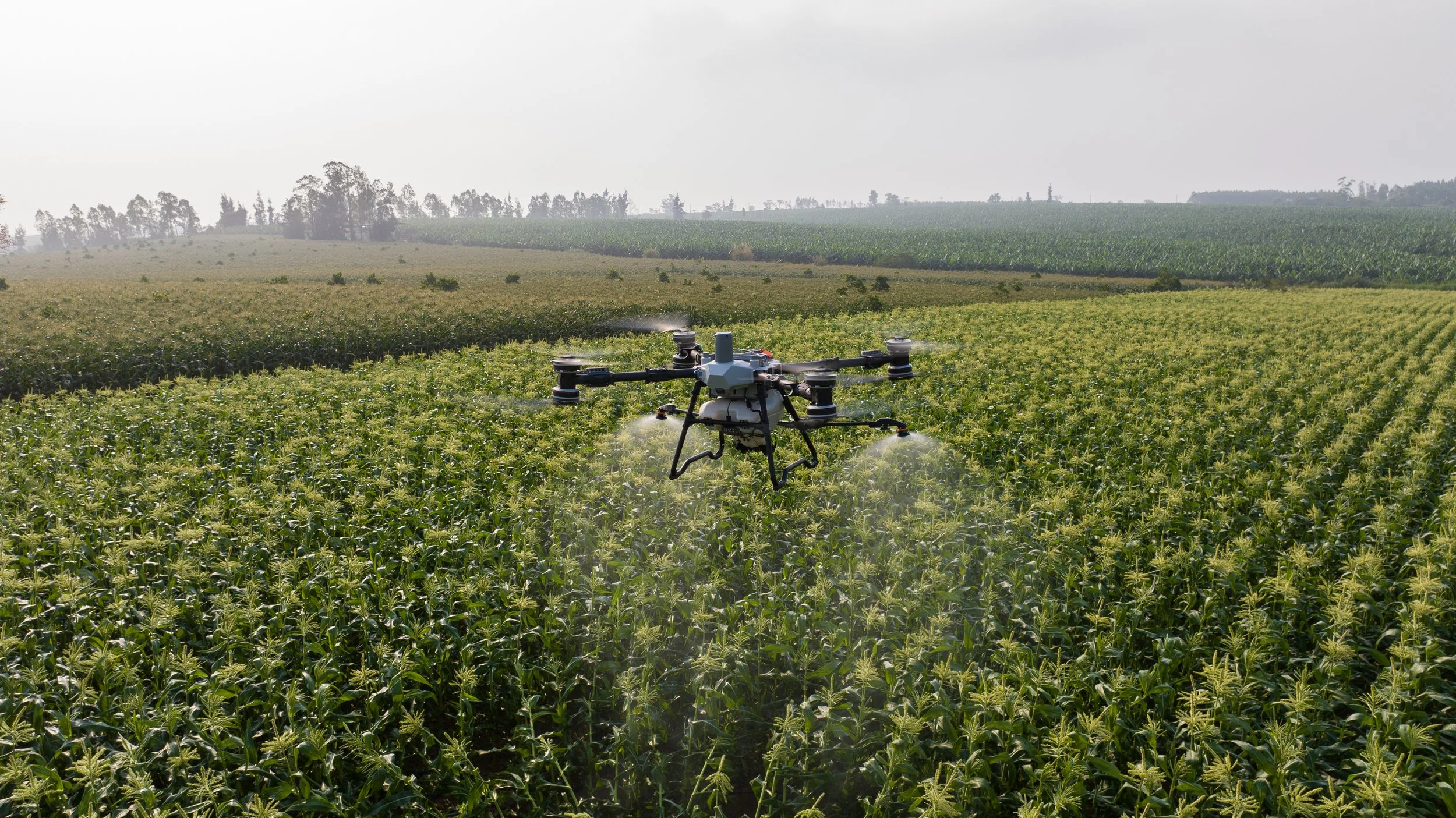 DJI_20250305092118_0110_D.jpg