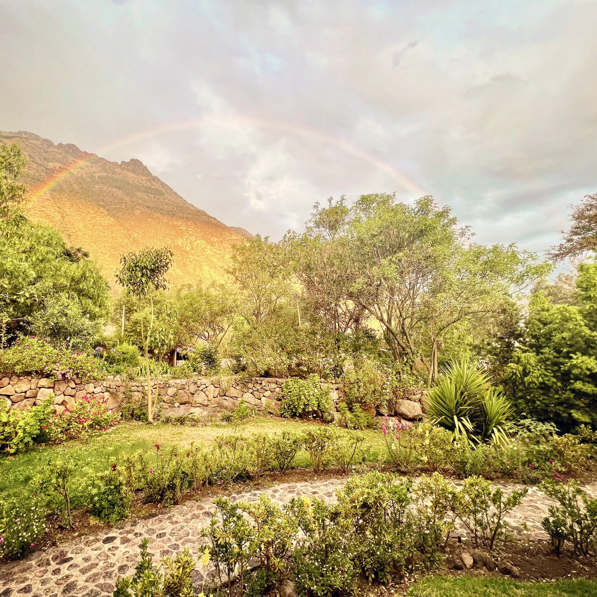 CED36254-DE4F-4328-970E-98817E9D32F4 2.JPG