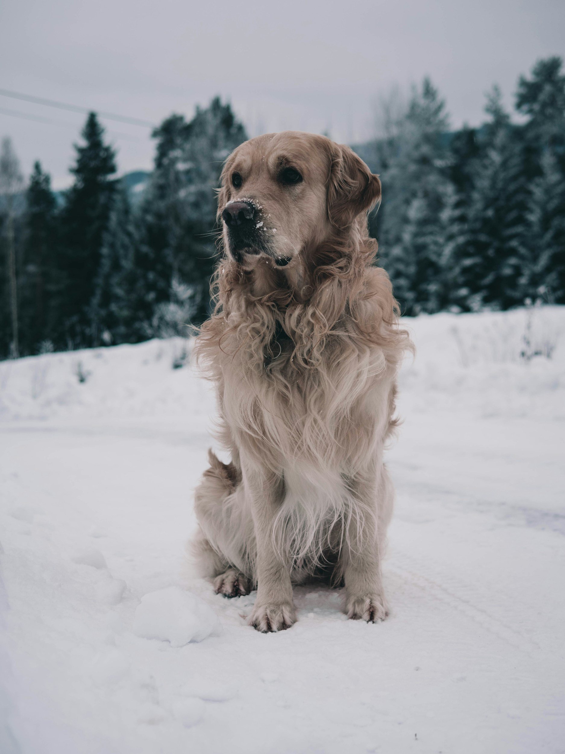 unsplash-image-4gYyCbb4Y5c.jpg