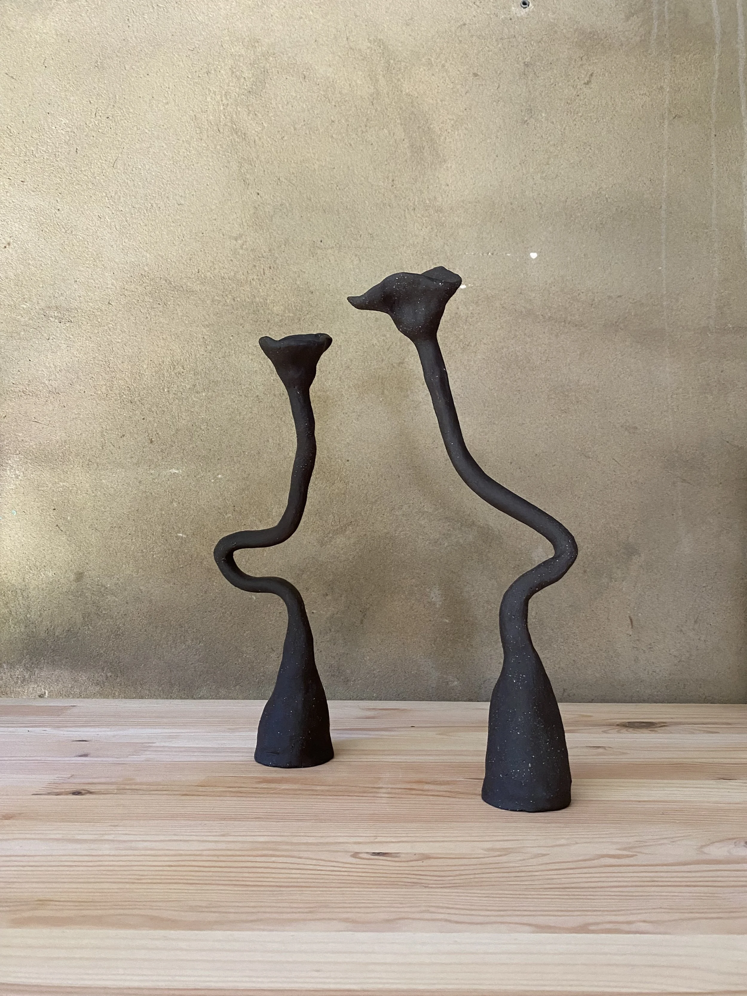 Photo 20-2-2026, 2 37 49 PM.jpg