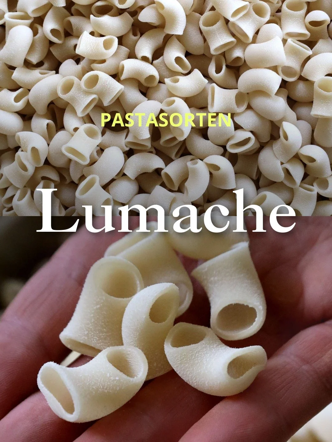 #KnowYourPasta

LUMACHE
Fresh pasta, made in-house every day. Different shapes. Same quality.