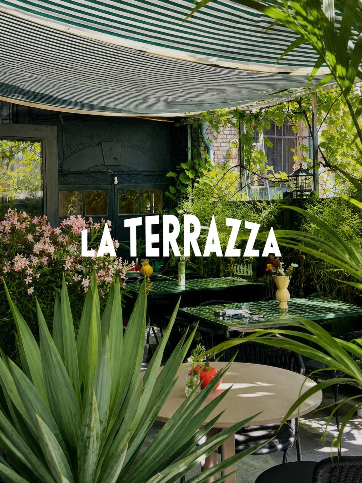 Hidden Spot. Summer Energy. Welcome to BOCCA La Terrazza ☀️