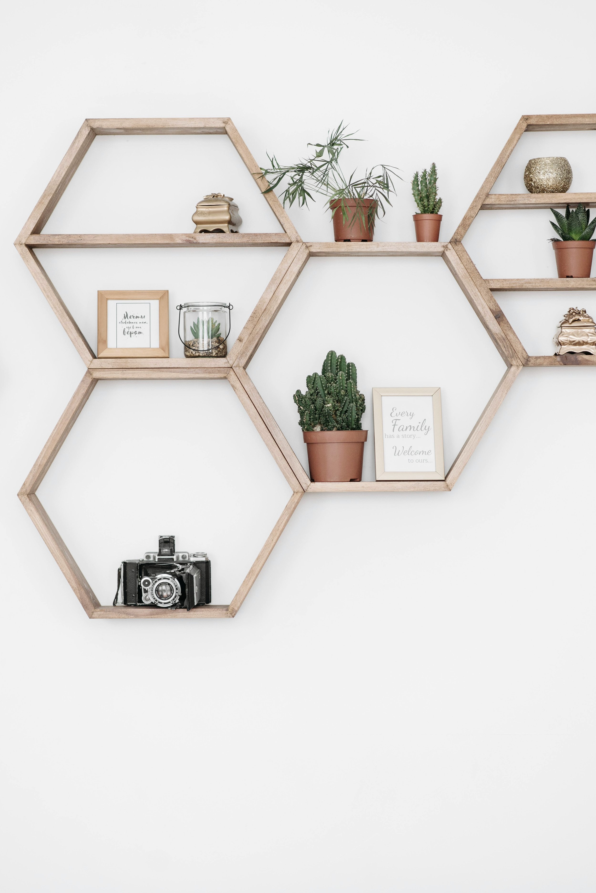 Vægmonterede hexagonformede træhylder med dekorative elementer som små planter, kaktusser, indrammede citater og et gammelt kamera.