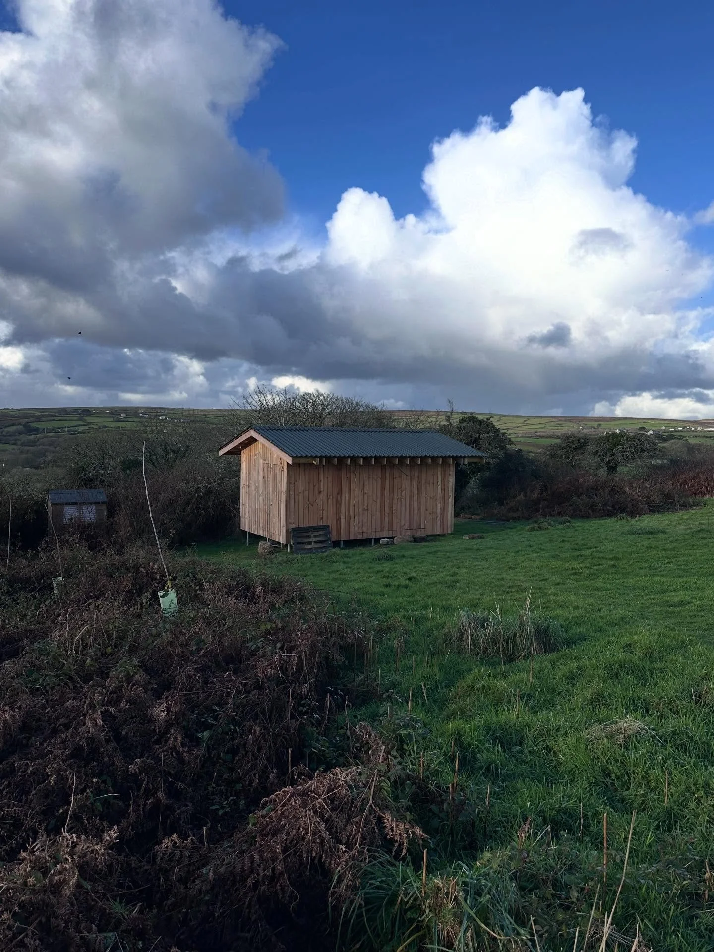 Completed this summer - a timber-frame field shelter finished with locally grown larch cladding for durability and sustainability. If you&rsquo;re looking for a field shelter, garden building, extension or renovation then get in contact - availabilit