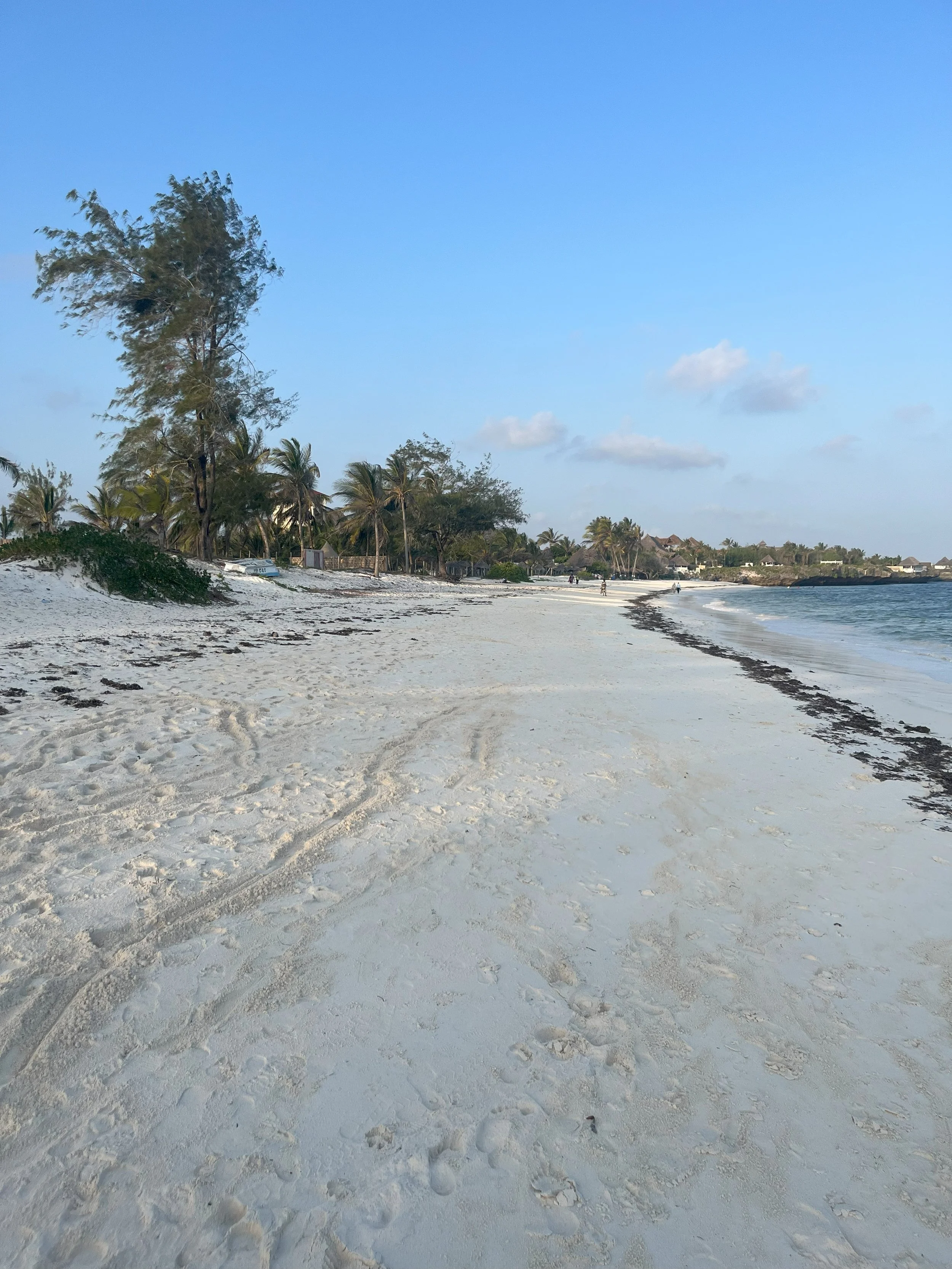 A sandy beach with footprints, palm trees, and a clear blue sky.