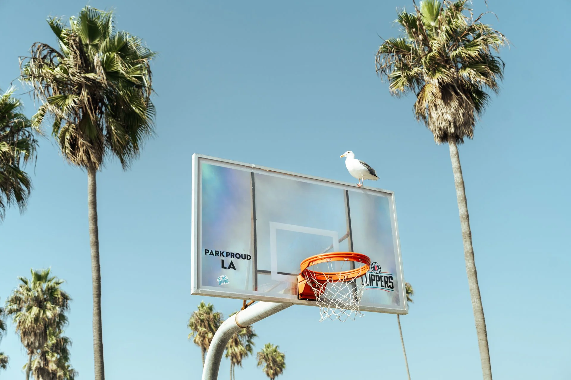 Santa Monica : Venice 2.jpg