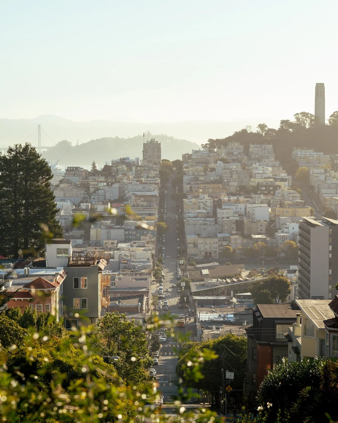 SFO4x5-5.jpg