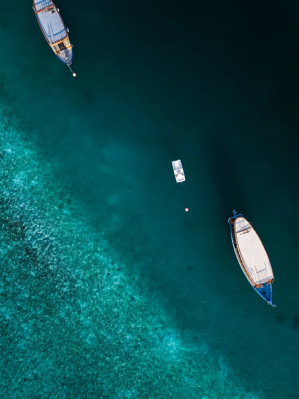 MaldivesPost1-3.jpg