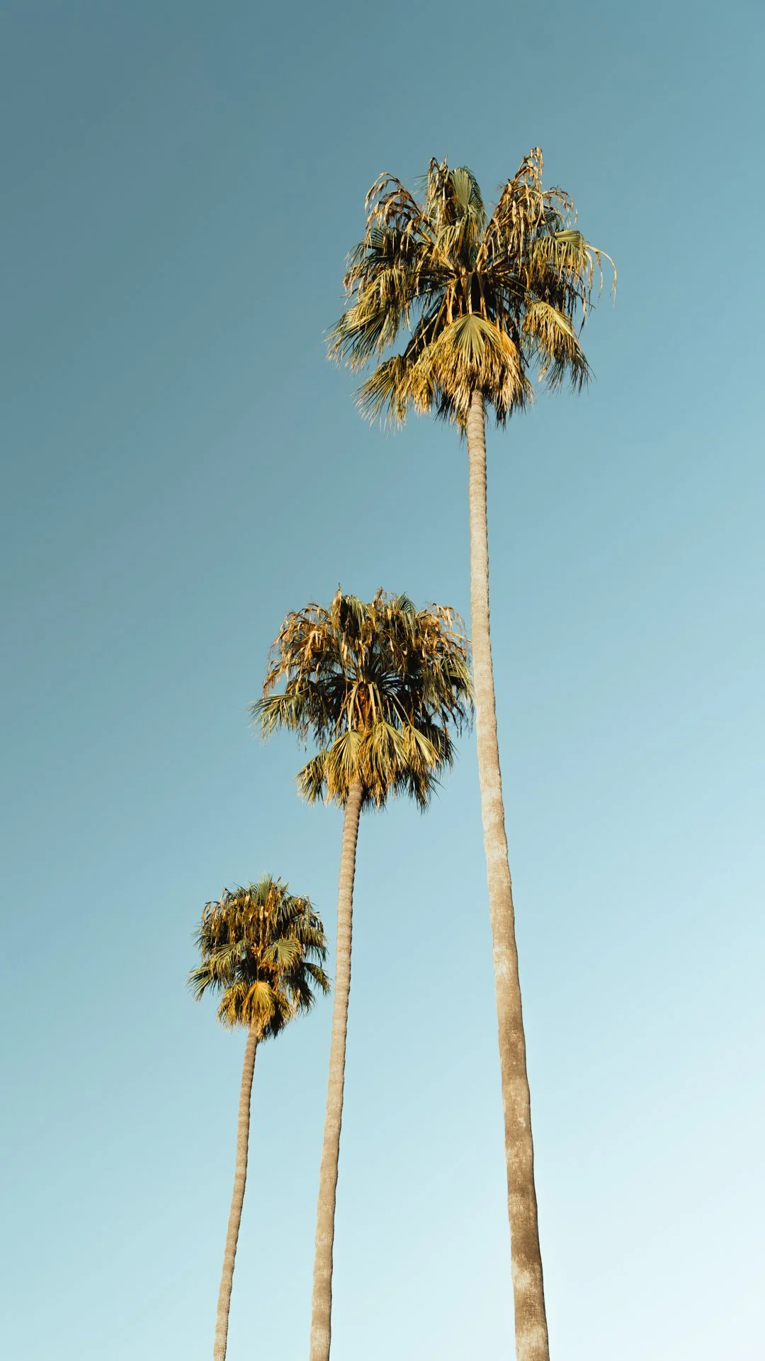 SBCover-10.jpg