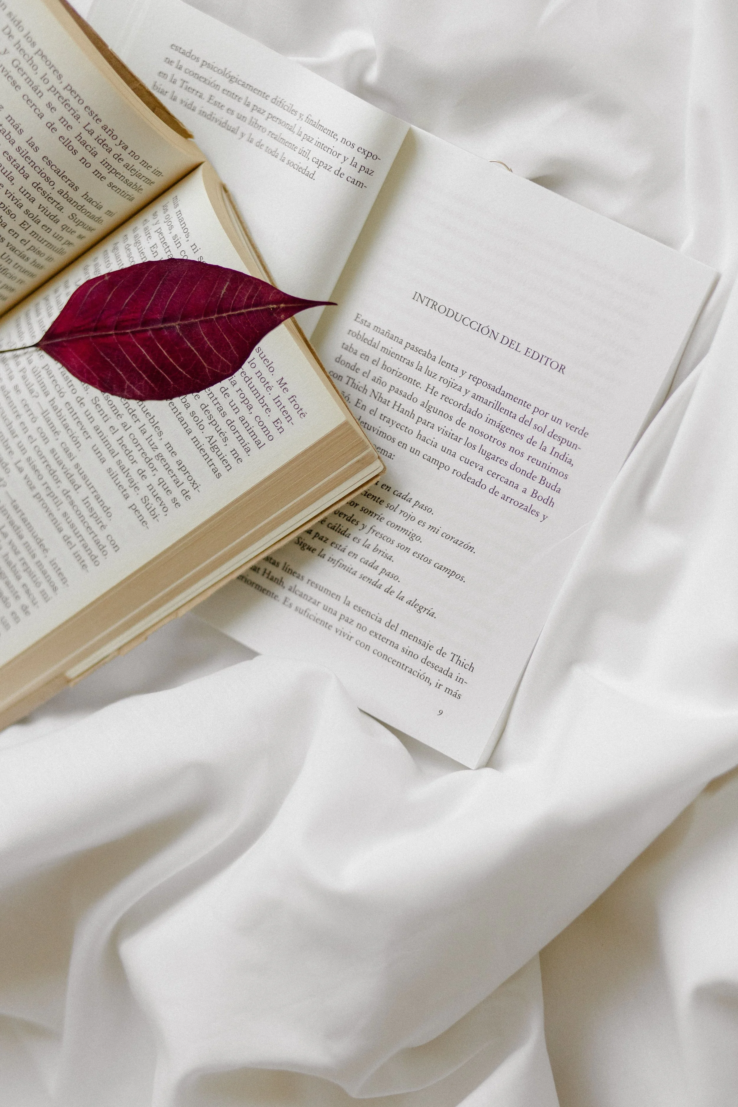 Publier son livre : auto-édition ou édition traditionnelle ?