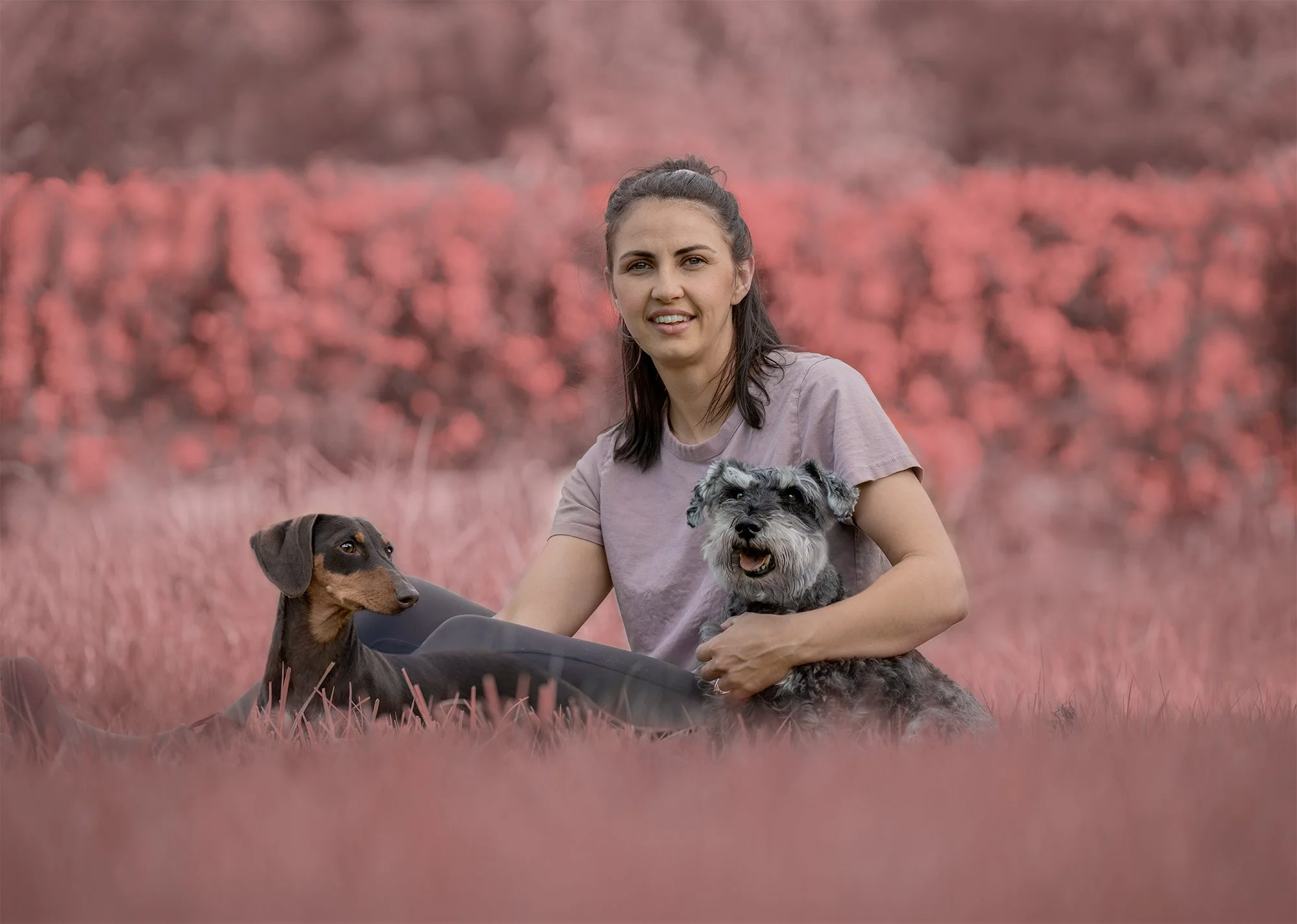 A woman sitting outdoors on pink tall grass, holding and surrounded by three dogs, with pink flowering trees in the background.