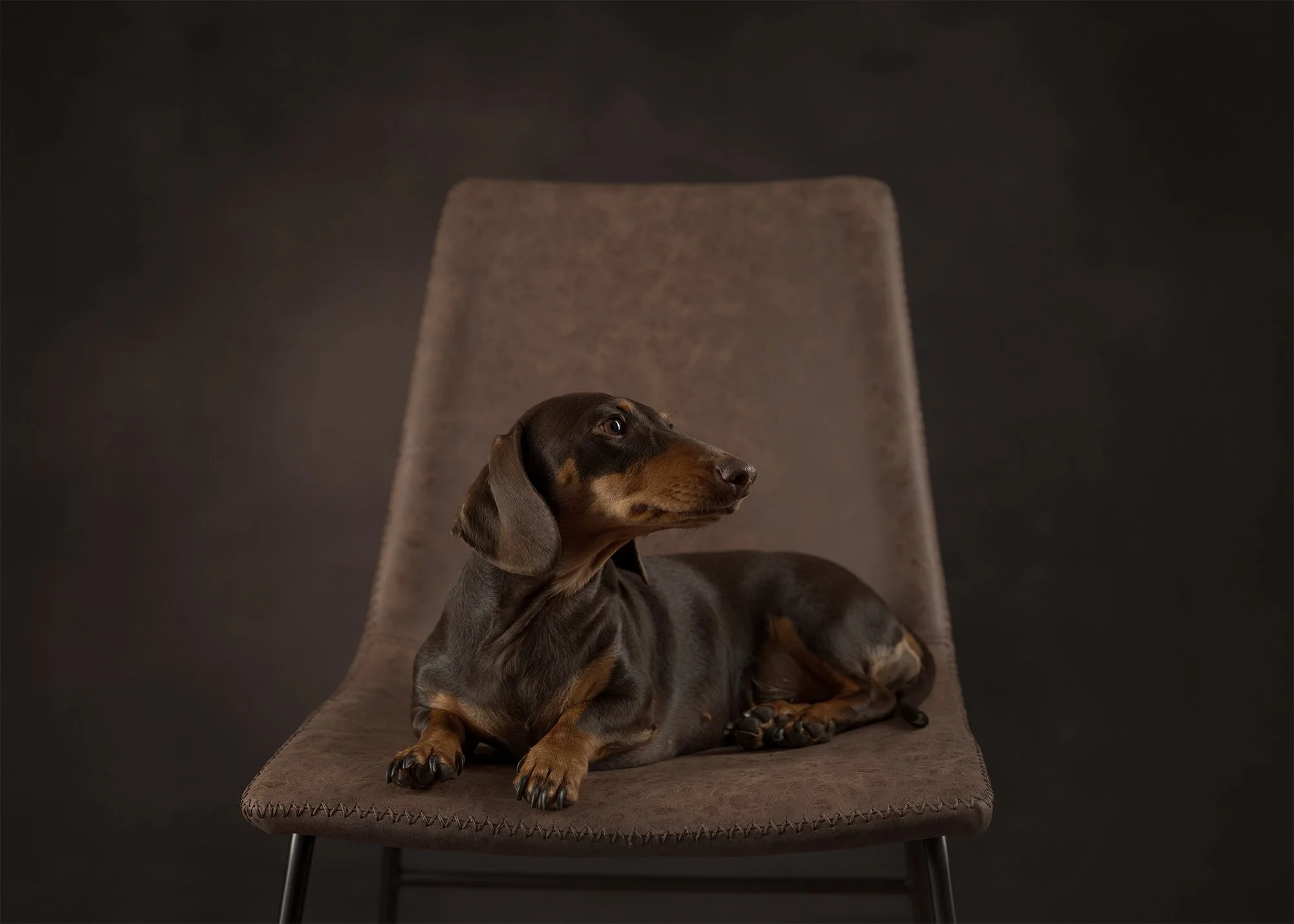 Coco Chair social.jpg