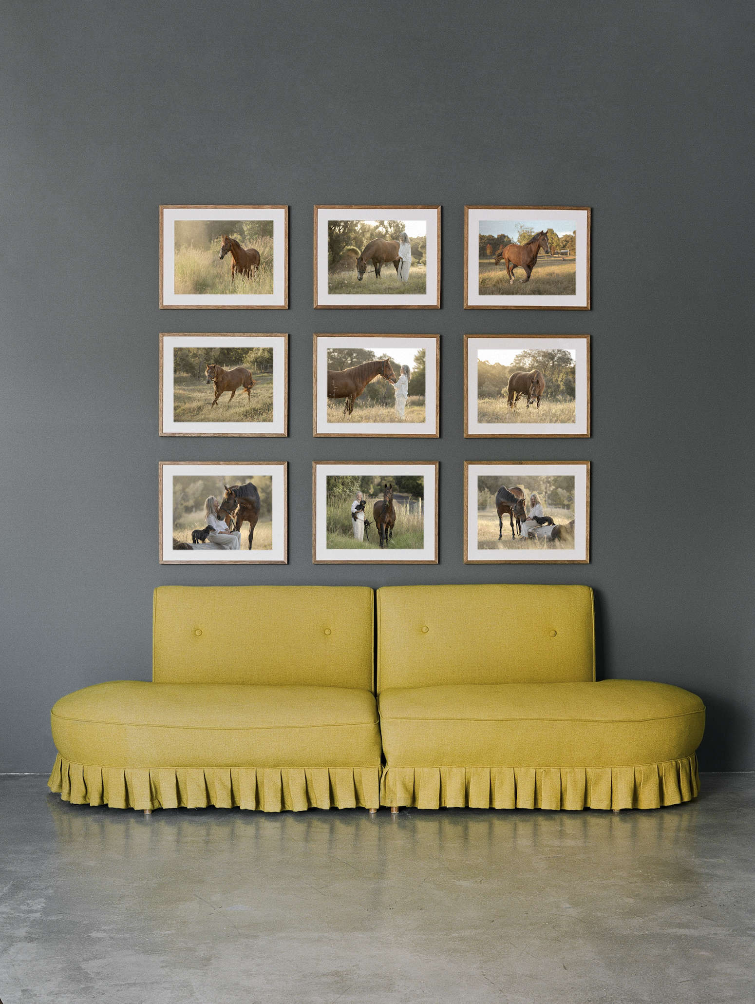 A Photograph of the Legacy collection on a wall